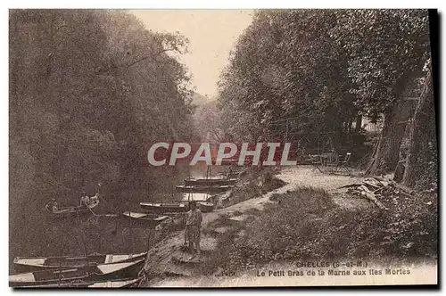 Cartes postales Chelles Le Petit de la Marne aux lles Mortes