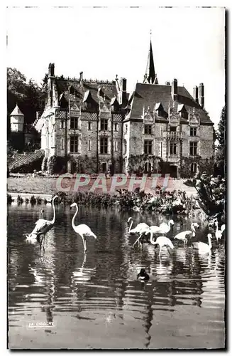 Ansichtskarte AK Parc Zoologique De Cleres Le Chateau Et Les Flamants Roses Zoo