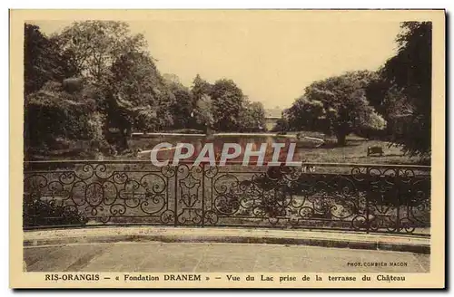 Ansichtskarte AK Ris Orangis Vue Du Lac Prise De La Terrasse Du Chateau