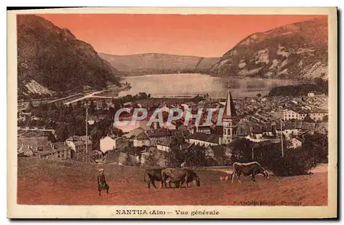 Cartes postales Nantua Vue generale Vaches
