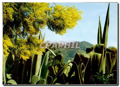 Moderne Karte Couleurs Et Lumiere De France La Cote d&#39Azur Miracle De La Nature