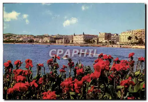 Moderne Karte Cannes Vue Generale Sur La Croisette