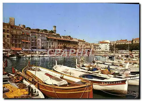 Moderne Karte Cannes Un Coin Du Port Le Quai St Pierre Et Le Suquet Bateaux
