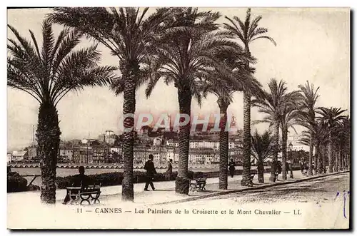 Cartes postales Cannes Les Palmiers De La Croisette Et Le Mont Chevalier