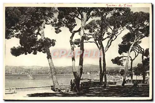 Cartes postales Juan Les Pins Vue Sur Le Golfe Juan Depuis La Pinede