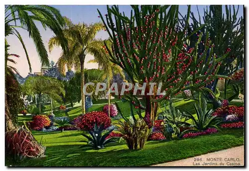 Cartes postales Monte Carlo Les Jardins Du Casino