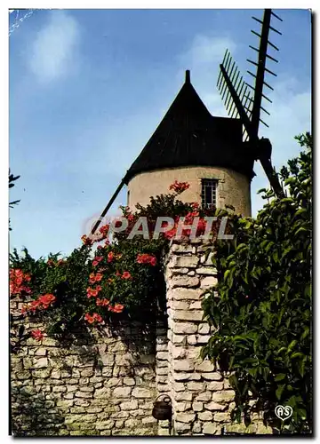Cartes postales moderne Ile De Re Moulin Du Morinand