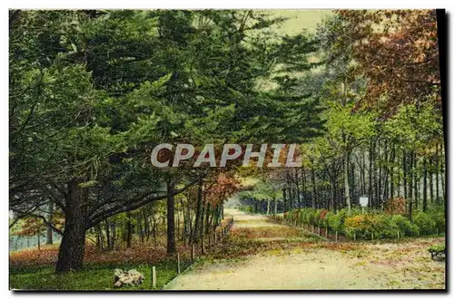 Cartes postales La Rochelle Grande Allee Du Parc Charruyer