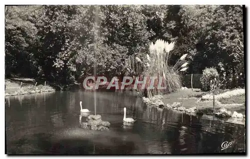 Cartes postales moderne La Rochelle Le Jardin Public