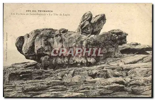 Cartes postales Penmarch Les Rochers De Saint Guenole La tete de lapin