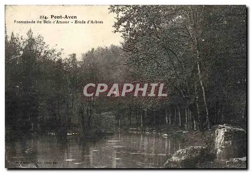 Cartes postales Pont Aven Promenade du Bois d'Amour Erude d'Arbres