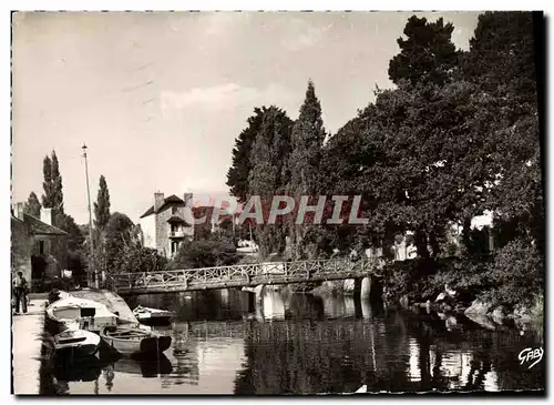 Cartes postales moderne Pont Aven La Passerelle sur l&#39Aven