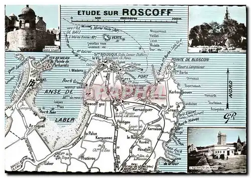 Cartes postales moderne Roscoff