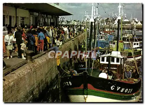 Cartes postales moderne Le Guilvinec Le retour des bateaux de peche