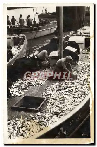 Cartes postales moderne Douarnenez Triage de la Peche