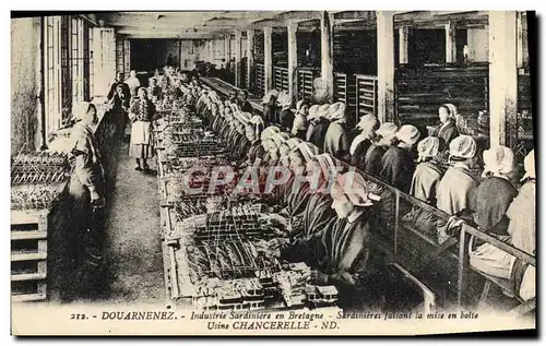 Ansichtskarte AK Douarnenez Industrie Sardiniere en Bretagne Sardinieres faisant la mise en boite Usine Chancerel