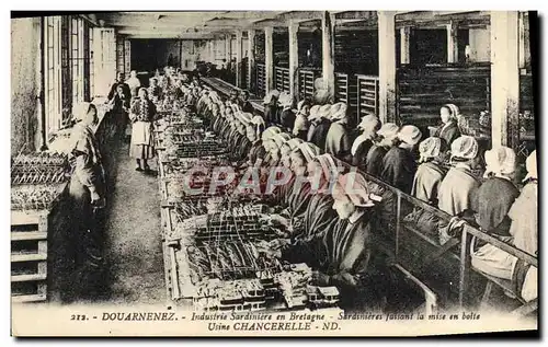 Cartes postales Douarnenez Industrie Sardiniere en Bretagne Sardinieres faisant la mise en boite Usine Chancerel