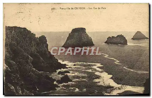 Cartes postales Presqu'ile de Crozon Les Tas de Pois