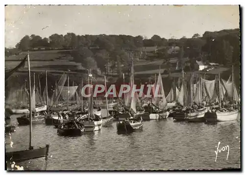 Cartes postales moderne Douarnenez Sardiniers au port Bateaux