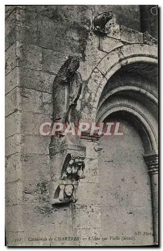 Cartes postales Cathedrale De Chartres L&#39ane Qui Vielle