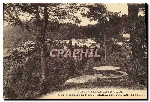 Cartes postales Peira Cava Vue a travers la Foret Station Estivale