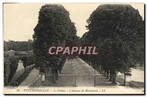 Ansichtskarte AK Fontainebleau Le Palais L&#39Avenue de Maintenon