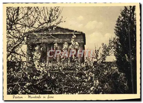 Cartes postales moderne Paestum Mandorlo In Fiare