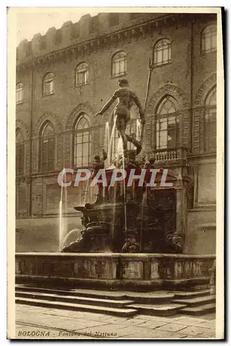 Ansichtskarte AK Bologna fontana del Nettuno