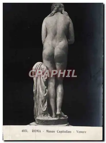 Ansichtskarte AK Roma Museo Capitolino Venere