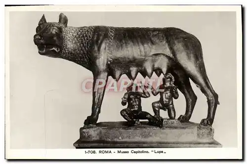 Ansichtskarte AK Roma Museo Capitolino Lupa Loup Louve
