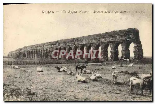 Ansichtskarte AK Roma Via Appia Nuova Avanzi della Acquedotto di Claudo Boeufs