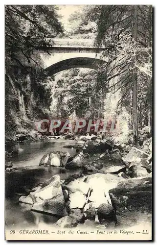 Ansichtskarte AK Gerardmer Saut des Cuves Pont sur la vologne