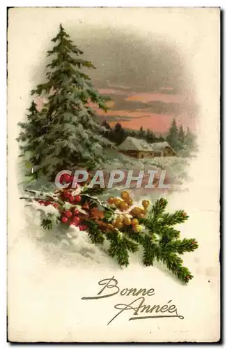 Cartes postales Fantaisie Bonne annee