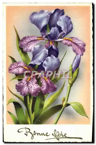 Cartes postales Fantaisie Fleurs