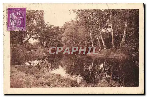 Cartes postales Foret de Fontainebleau Mare aux Pigeons