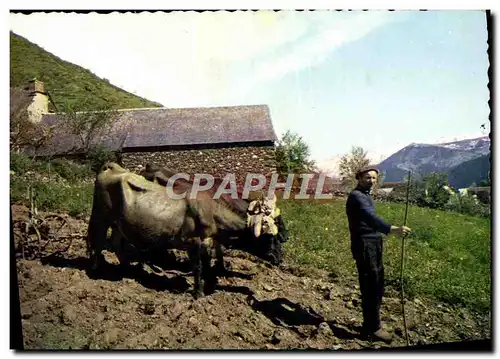 Moderne Karte Les Pyrenees Paysage Des Hautes Vallees Paysan Vaches Boeuf Attelage