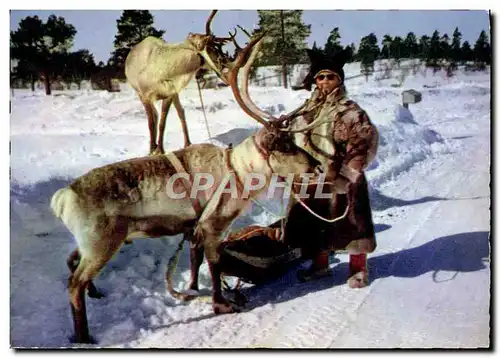 Cartes postales moderne Inari