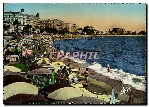 Cartes postales moderne Cannes La Plage et les Grands Hotels de la Croisette