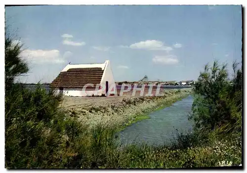 Cartes postales moderne Camargue Avec Les Gardians Pres des Marais une cabane toute blanchee