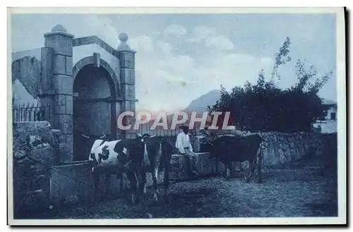 Cartes postales Fantaisie Vaches Pays basque