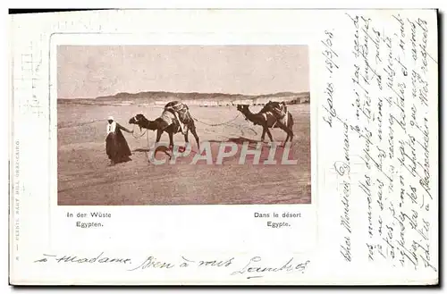 Cartes postales In Der Wuste Egypten Dans Le Desert Egypte Chameaux