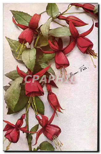 Cartes postales Bonne Fete Fleurs