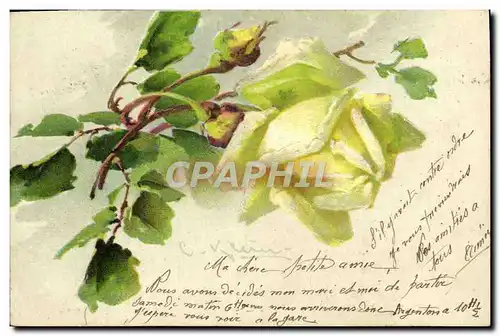 Cartes postales Fantaisie Fleurs