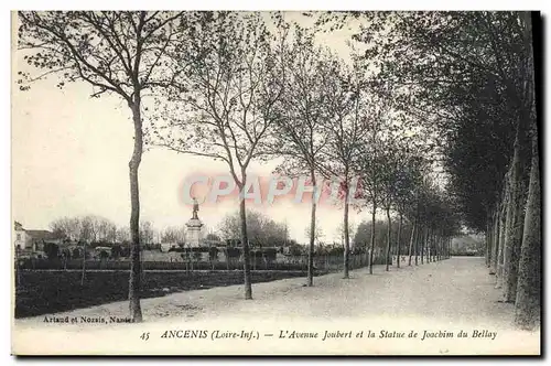 Cartes postales Ancenis L&#39Avenue Joubert Et La Statue De Joacbim Du Bellay