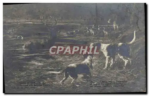 Cartes postales Salon 1911 Maissen Aux abois dans l&#39etang Chasse a courre Chiens Chien