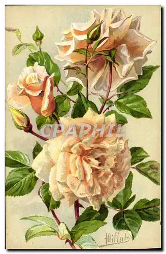 Cartes postales Fantaisie Fleurs