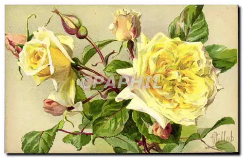 Ansichtskarte AK Fantaisie Fleurs Rose Mme Sadi Carnot