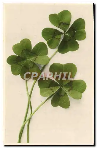 Cartes postales Fantaisie Fleurs Trefles