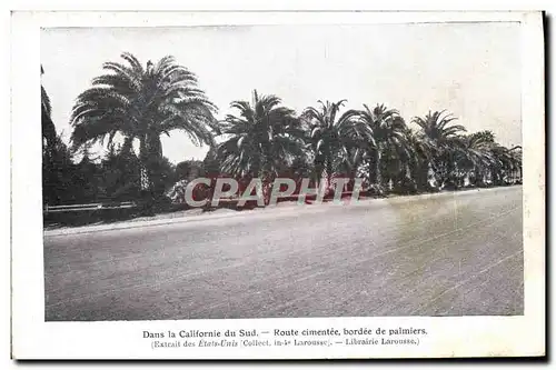 Cartes postales Dans La Californie Du Sud Route Bordee De Palmiers