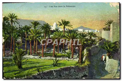 Cartes postales Une Rue Dans La Palmeraie